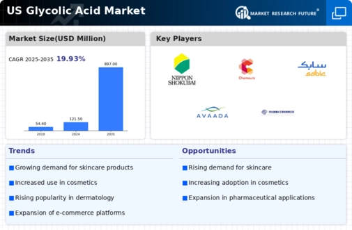 US Glycolic Acid Market Infographic