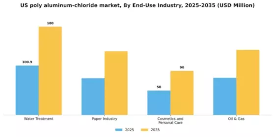 US Poly Aluminum Chloride Market Segment Image 0