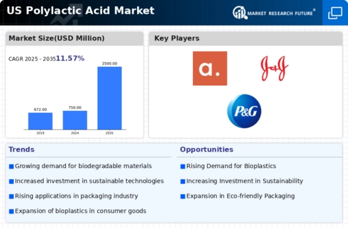 US Polylactic Acid Market Infographic