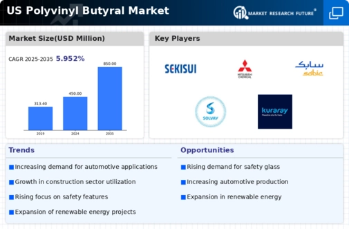 US Polyvinyl Butyral Market Infographic