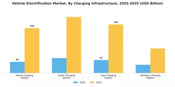 Vehicle Electrification Market Segment Image 1