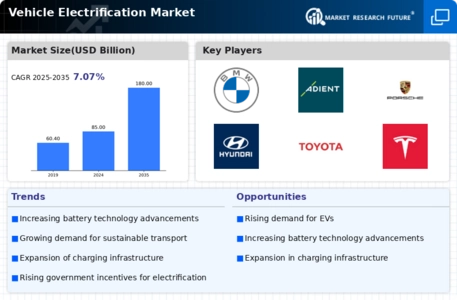 Vehicle Electrification Market Infographic