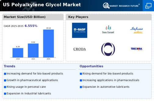 US Polyalkylene Glycol Market Infographic