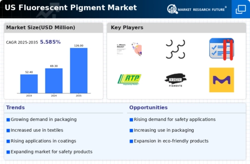 US Fluorescent Pigment Market Infographic