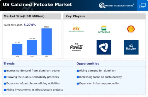 US Calcined Petcoke Market Infographic