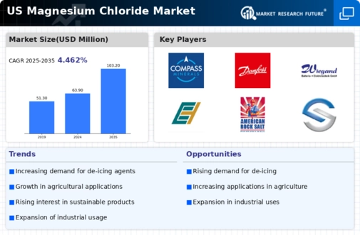US Magnesium Chloride Market Infographic
