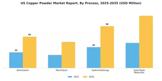US Copper Powder Market Segment Image 0