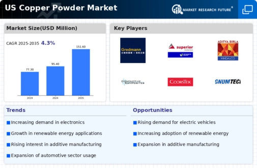 US Copper Powder Market Infographic