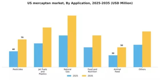 US Mercaptan Market Segment Image 0