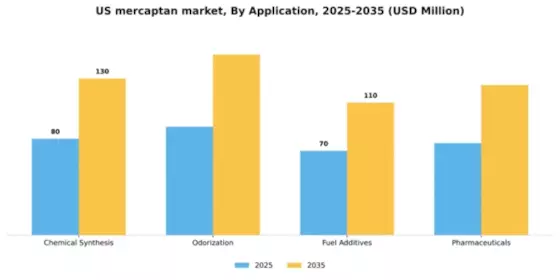 US Mercaptan Market Segment Image 0