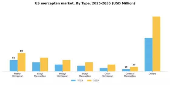 US Mercaptan Market Segment Image 1