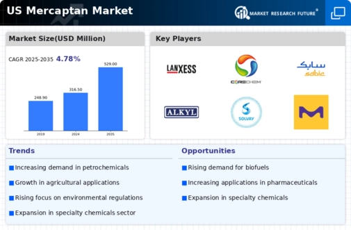 US Mercaptan Market Infographic