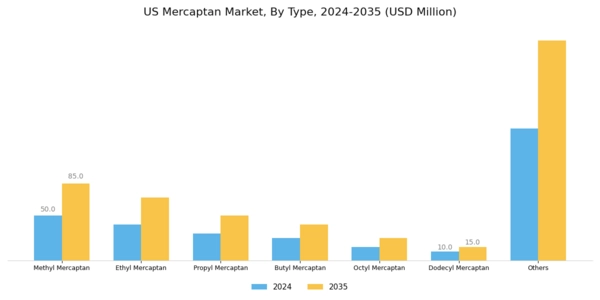 US Mercaptan Market Segment Image 0