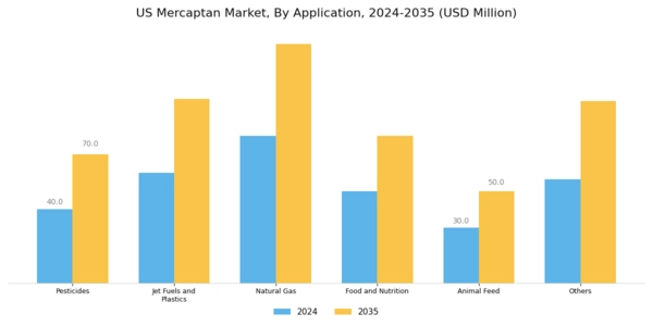 US Mercaptan Market Segment Image 1