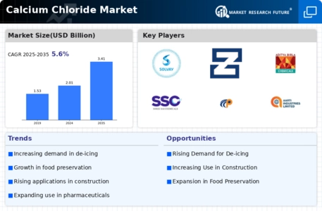 Calcium Chloride Market Infographic