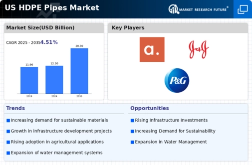 US HDPE Pipes Market  Infographic