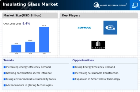 Insulating Glass Market Infographic