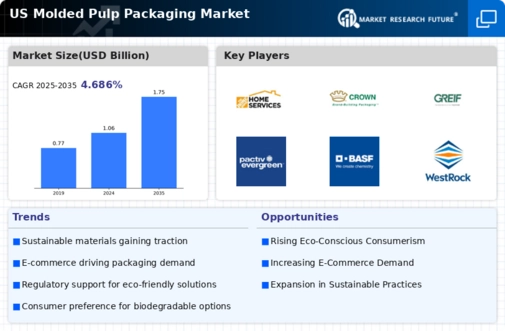 US Molded Pulp Packaging Market Infographic