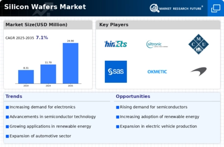 Silicon Wafers Market Infographic