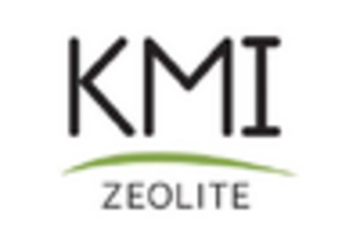 US Zeolites Market key player