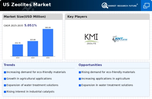US Zeolites Market Infographic