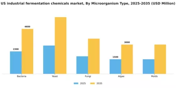 US Industrial Fermentation Chemicals Market Segment Image 2