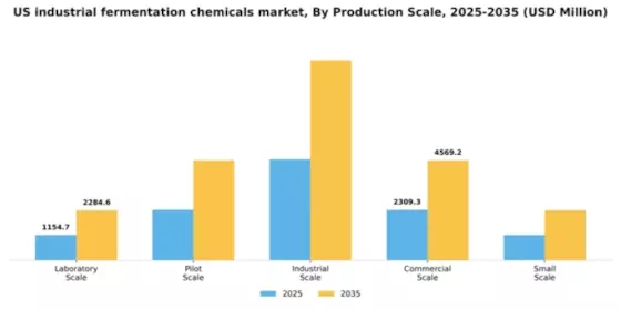 US Industrial Fermentation Chemicals Market Segment Image 3