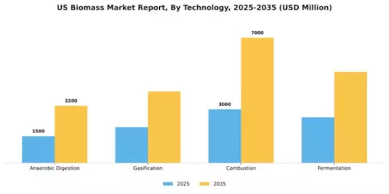 US Biomass Market Segment Image 3