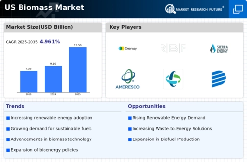 US Biomass Market Infographic
