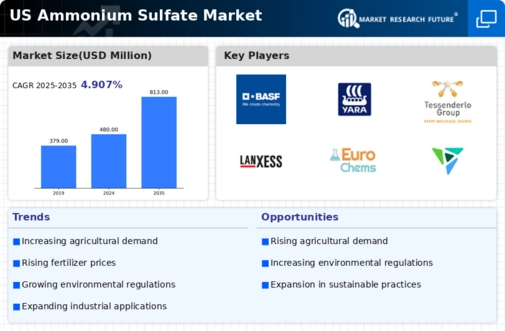 US Ammonium Sulphate Market Infographic