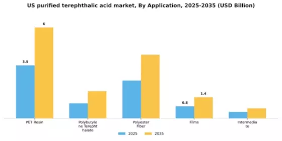 US Purified Terephthalic Acid PTA Market Segment Image 0