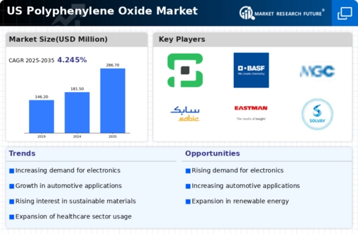 US Polyphenylene Oxide Market Infographic