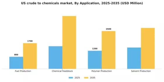 US Crude to chemicals Market Segment Image 0