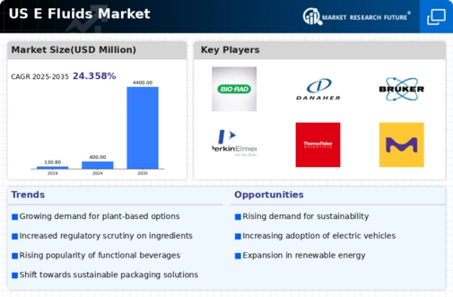 US E fluids Market Infographic