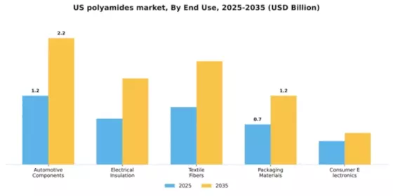 US Polyamides Market Segment Image 1