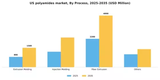US Polyamides Market Segment Image 3