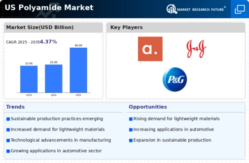 US Polyamides Market Infographic