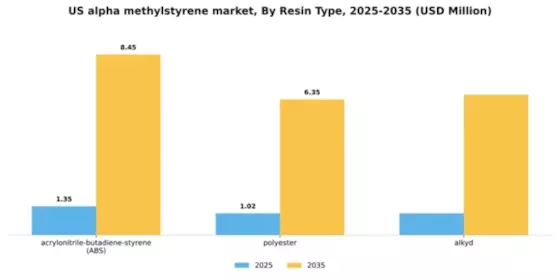 US Alpha Methylstyrene Market Segment Image 2