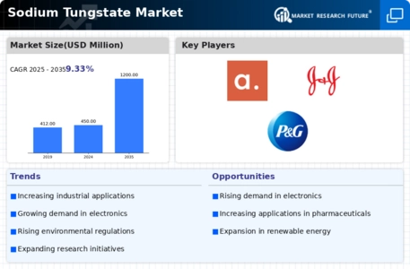 US Sodium Tungstate Market Infographic