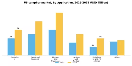 US Camphor Market Segment Image 0