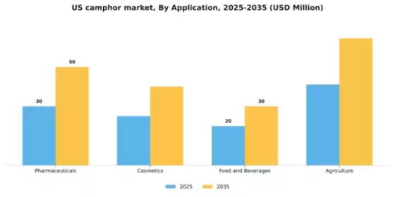 US Camphor Market
 Segment Image 0