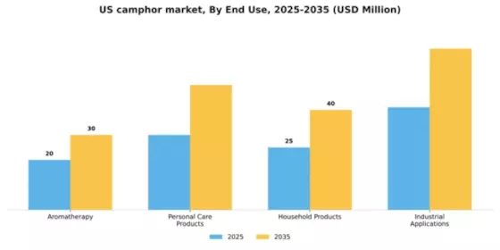 US Camphor Market
 Segment Image 2