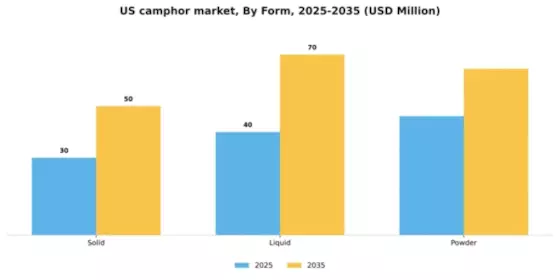 US Camphor Market
 Segment Image 3