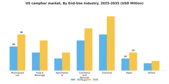 US Camphor Market Segment Image 1