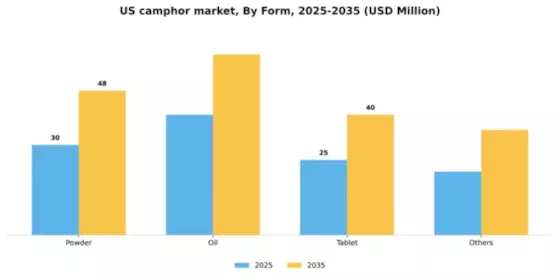 US Camphor Market Segment Image 2