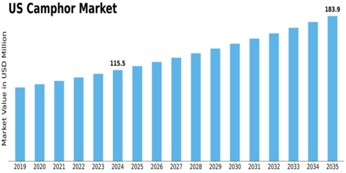 US Camphor Market
 Size
