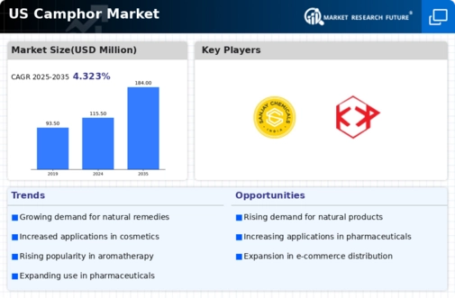 US Camphor Market
 Infographic