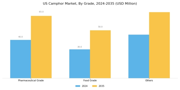 US Camphor Market
 Segment Image 1