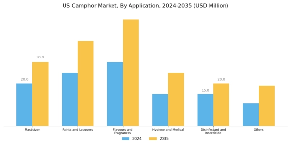 US Camphor Market
 Segment Image 2