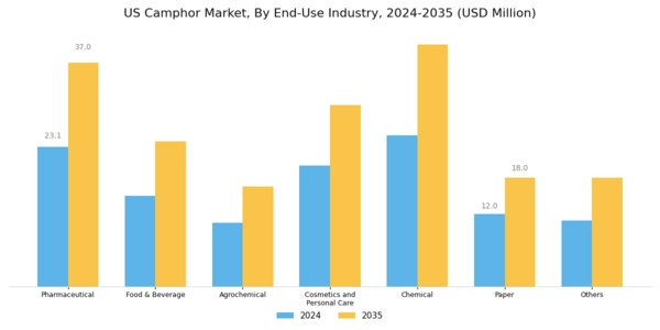 US Camphor Market
 Segment Image 3